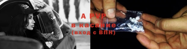 гидра Алексин