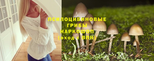 spice Алзамай