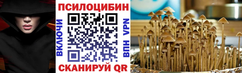 Псилоцибиновые грибы GOLDEN TEACHER  дарнет шоп  Богородск 